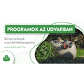 Programok az udvarban - Színes tanácsok a szürke hétköznapokra