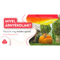 Mivel árnyékoljak? - Nézzünk meg minden opciót