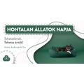 Hontalan állatok napja - Tehetetlenek. Tehetsz értük!