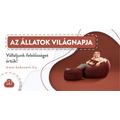 Az állatok világnapja - Vállaljunk felelősséget értük!